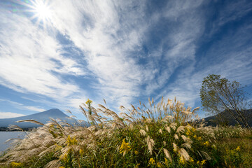 河口湖畔から望む富士山　青空とススキが綺麗