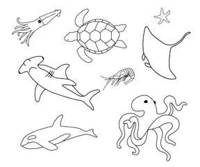 Vector swimming turtle, squid, stingray and shark isolated on white background. Hand drawn outline doodle illustration ocean or underwater animal for coloring page