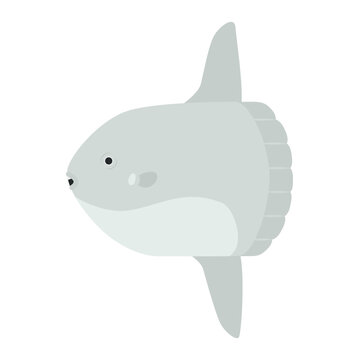 マンボウ Images Browse 293 Stock Photos Vectors And Video Adobe Stock