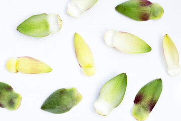 Fresh artichoke petals on white background