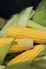 a group of golden corn whose skin has been peeled and photographed on a leaf