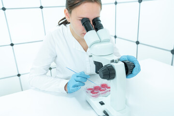 a young woman in a food quality control laboratory examines samples of crops from fruits and...