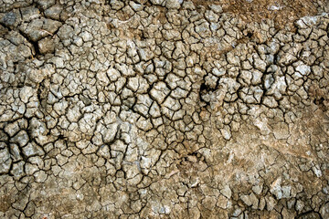 Dry soil surface with deep cracks textured background. Dried and cracked soil. Climate change....