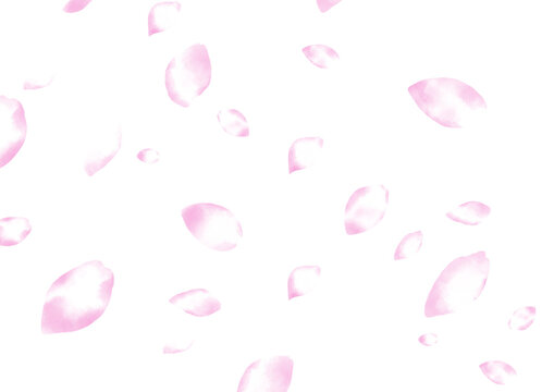 桜吹雪 Images Browse 10 6 Stock Photos Vectors And Video Adobe Stock