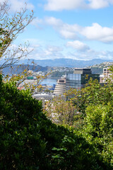 Fototapeta premium Stunning urban view of capital Wellington city, central business district buildings, skyscrapers and parliamentary Beehive with a glimpse of harbour in Wellington, New Zealand Aotearoa 