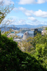 Stunning urban view of capital Wellington city, central business district buildings, skyscrapers and parliamentary Beehive with a glimpse of harbour in Wellington, New Zealand Aotearoa 