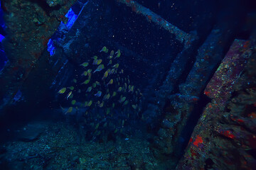 wreck diving thistelgorm, underwater adventure historical diving, treasure hunt