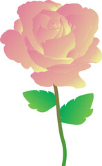 pink rose flower png 3