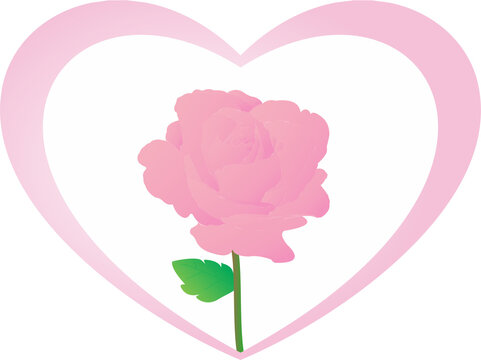 love flower rose and heart png