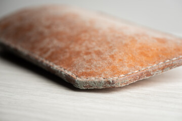 mould on leather product