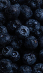 Macro blueberry berries. The background of blueberries is close