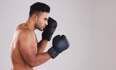 Training, young man and boxer with boxing gloves for competition, prepare for match and focus with grey studio background profile. Sportsman, Indian male and fighter at game, being healthy in workout