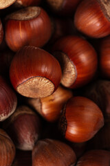 Macro of hazelnuts. The background of hazelnuts is close.