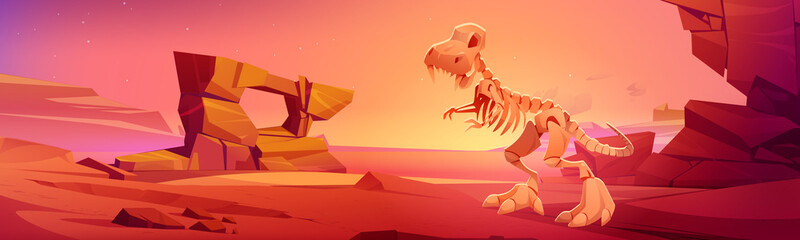 Dinosaur skeleton on nature landscape with rocks, red soil and starry sky. Cartoon design for paleontological museum, exhibition of prehistoric era. Dino tyrannosaurus rex fossils, Vector illustration © klyaksun