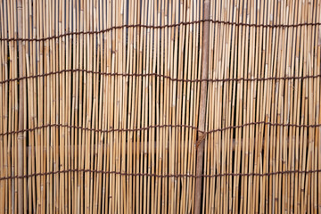 Surface of Sudare that made of dried reed as screens or blinds in Japan.
