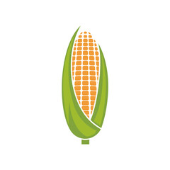 Corn logo illustration vector