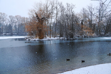 Winter landscape at Lake Orankesee in Berlin - Germany