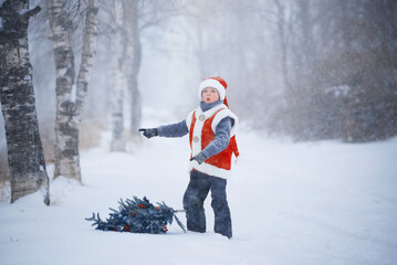 A child in a New Year's costume, in a snowfall carries a Christmas tree to Santa Claus. a New Year's tale.