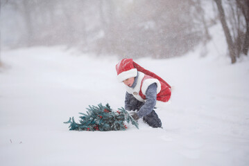 A child in a New Year's costume, in a snowfall carries a Christmas tree to Santa Claus. a New...