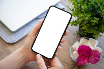 female hands hold phone isolated screen background laptop in office