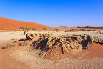 Fototapeta na wymiar Deadvlei, white clay pan located inside the Namib-Naukluft Park in Namibia.Africa.