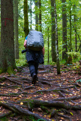 Photographer with heavy backpack and camera in the forest