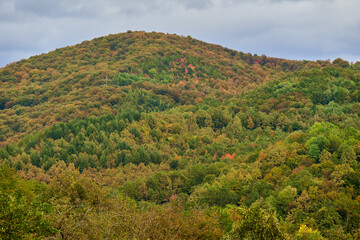Fototapeta na wymiar Colorful autumnal forests