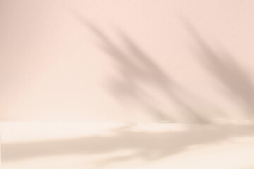 Blurred background. Abstract beige studio background for product presentation. Empty room with shadows of window and flowers and leaves . 3d room with copy space. Summer concert.