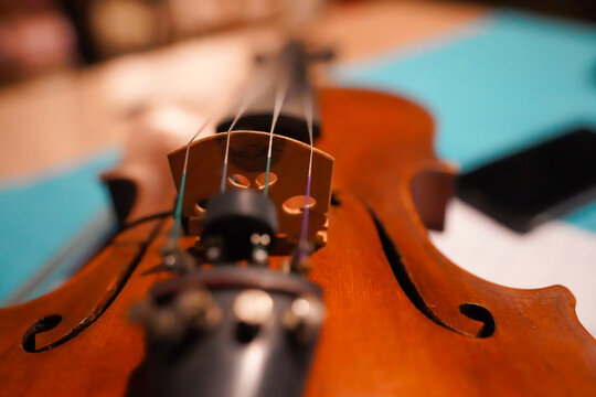 violin. detail. indoor photo with natural light.