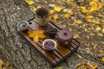 Tea ceremony in the autumn park . The atmosphere of the tea ceremony.