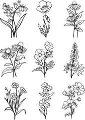 wildflower bundle, botanical bundle, floral, flower, botanical clipart, flower clipart, set of black and white flowers