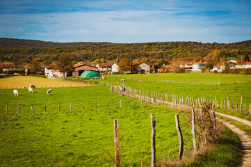 Fototapeta premium Dans la campagne française un jour d'automne. 