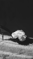 shoes and a flower on the floor. rose in the shoe. sunlight falls on the shoes. black and white