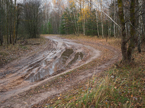 forest country road with mud pits and large puddles 2022