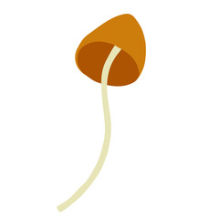 Magic mushroom forest decorative in natural colors. Сhanterelle, agaric, death cap. Autumn forest. Hand drawn vector illustration