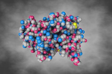 Human aldose reductase in complex with inhibitor IDD594. Space-filling molecular model. Rendering based on protein data bank entry 1us0. Scientific background. 3d illustration