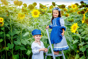 two children in a sunflower field.a boy and a girl collect sunflower seeds from a sunflower