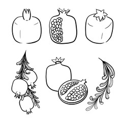  pomegranates set contour on the white background