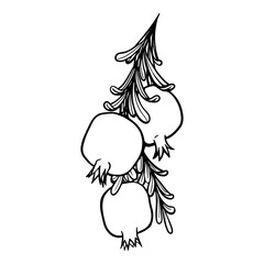  
pomegranates branch contour on the white background