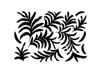 Curved plant branches with pungent leaves collection. Brush drawn branches silhouettes. Hand drawn vector botanical elements. Vector illustration of silhouette with tropical leaves isolated on a white