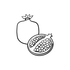 pomegrate sketch contour on the white background
