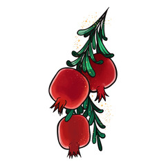 pomegranate colored on the white background