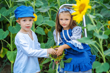 two children in a sunflower field.a boy and a girl collect sunflower seeds from a sunflower