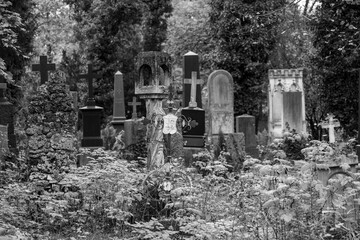 alter Friedhof mit überwachsenen und schiefen Grabsteinen
