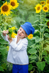 A boy on a sunflower mole, A child playing with sunflowers and eating sunflower seeds