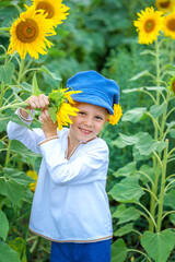 A boy on a sunflower mole, A child playing with sunflowers and eating sunflower seeds