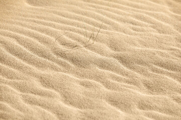 Sand on the beach as a background. Close-up sand texture. Summer sunlight. Top view.
