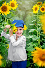 A boy on a sunflower mole, A child playing with sunflowers and eating sunflower seeds