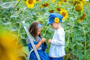 two children in a sunflower field.a boy and a girl collect sunflower seeds from a sunflower