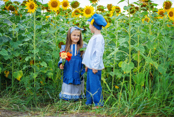 two children in a sunflower field.a boy and a girl collect sunflower seeds from a sunflower